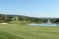 Grün 18 - GC Breisgau
